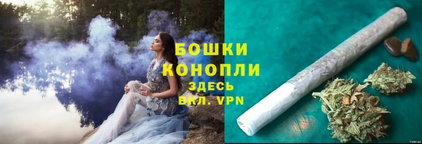 прущие крисы Сосновый Бор