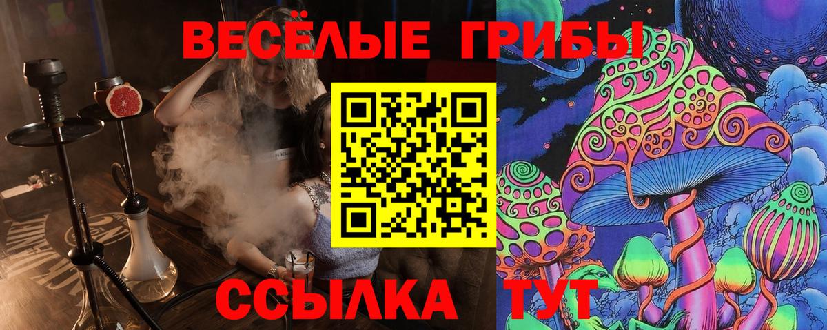 где можно купить наркотик  Воронеж  Псилоцибиновые грибы Psilocybine cubensis  Псилоцибиновые грибы Psilocybine cubensis 