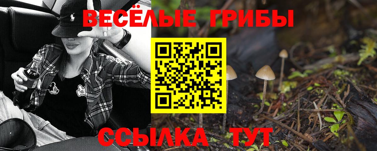 Воронеж  Псилоцибиновые грибы Magic Shrooms  Вход с VPN  Галлюциногенные грибы Magic Shrooms 