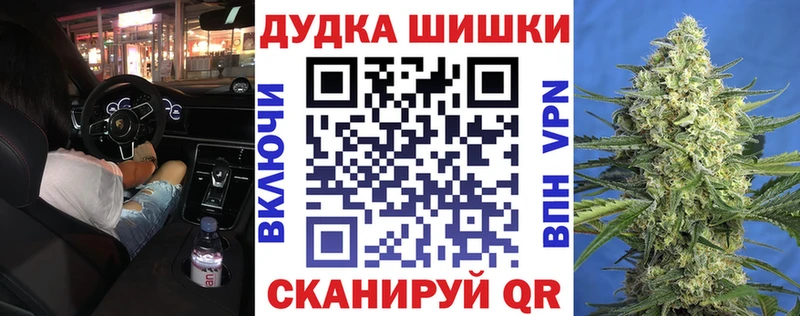 где купить   Воронеж  Каннабис сатива 